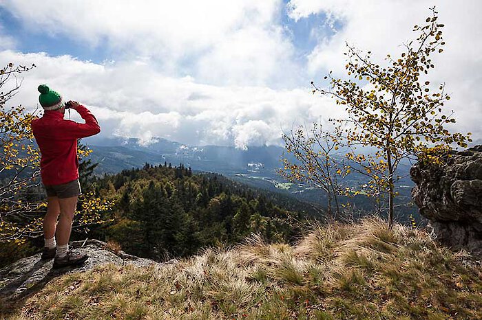 Wanderurlaub am Großen Arber in Bayern